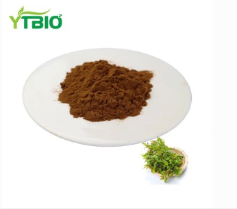 Vine Tea Extract Powder